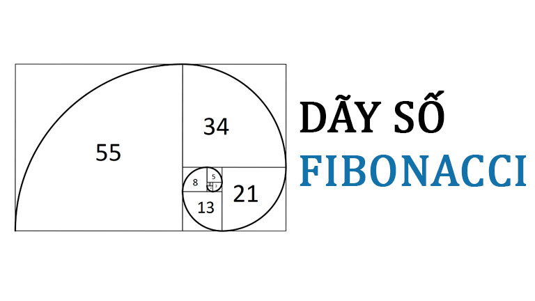 Tìm hiểu về Fibonacci chi tiết nhất