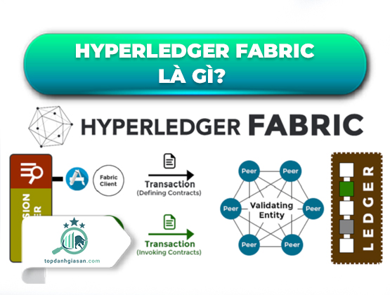 Hyperledger Fabric là gì? Tất tần tật các thông tin về Hyperledger Fabric