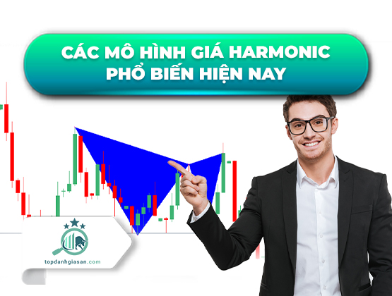 Các mô hình giá Harmonic phổ biến hiện nay –  Cách sử dụng Harmonic Pattern