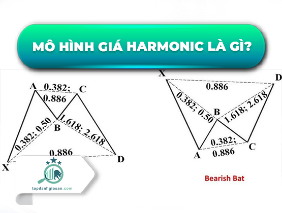 Mô hình giá Harmonic là gì?