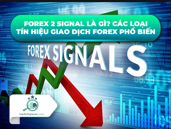 Forex 2 signal là gì? Các loại tín hiệu giao dịch Forex phổ biến
